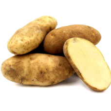 POTATO RUSSET 90s/ 100s/ 110s (KG)
