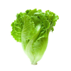 BABY ROMAINE (KG)