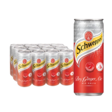 SOFT DRINKS SCHWEPPES GINGER ALE 320ML X 12CAN X CTN