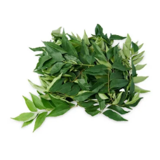 CURRY LEAF/ DAUN KARI (KG)
