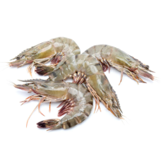 FRESH TIGER PRAWN 16/20 (KG)